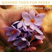 Não seja igual aos outros, seja melhor! Atire bondade por aí, o mundo não precisa de mais pedras. #flores #bondade #motivacional
