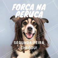 Segundou! E que Deus te dê força para ter uma linda semana! #segundafeira #segunda #frasemotivacional