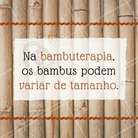 Os de espessura mais fina são usados geralmente para massagens modeladoras, o que requer maior pressão por parte do profissional, os bambus mais grossos são utilizados para massagens relaxantes.
#ahazou #bambuterapia