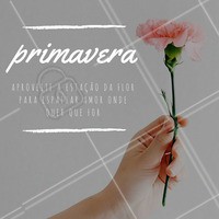 Dia 22 de setembro marca o início da estação mais bonita do ano. Estão preparados para a chegada da primavera? #primavera #iníciodaprimavera #flores #amo