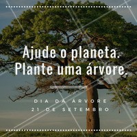 Sabia que as florestas são apelidadas de "pulmão do mundo"? E não é a toa! As árvores ocupam cerca de 30% da superfície da Terra! Não podemos colocar esse presente da natureza em risco. Plante uma árvore! #diadaarvore #meioambiente #ahazou #natureza