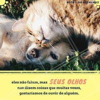 Hoje é o Dia Mundial dos Animais, por isso, viemos lembrar que todos os animais merecem o nosso respeito, e precisam do nosso cuidado. Não deixe de dar os parabéns para o seu animalzinho com muito amor, beijos e carinho, ele merece! #amo #ahazou #diadosanimais #felicidade #animais #respeito