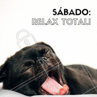 Sábado: Dia de deitar na cama e só levantar na Segunda-Feira! 😂 Um ótimo sábado pra vocês! #sabado #relax #ahazou #sabadorelax