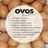 O ovo é uma escolha nutritiva e a ciência afirma que é benéfico à saúde. O ovo é um dos alimentos mais nutritivos da natureza e excelente fonte de proteína de alta qualidade. Quase todos os nutrientes que o corpo necessita estão presentes nos ovos. Possui 13 vitaminas essenciais e minerais, proteínas de alta qualidade, gorduras insaturadas (saudáveis) e antioxidantes, com apenas 70 calorias. #nutrição #alimentosaudável #ahazou #saude #beleza #bemestar #autoestima #ovos #proteinas