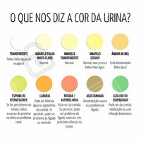O que a cor da sua urina indica? Veja! Lembre-se de beber bastante água! E se você perceber qualquer alteração na cor da sua urina, procure um profissional da área. #saude #bemestar #ahazou #autoestima #alimentacaosaudavel #agua #nutrição