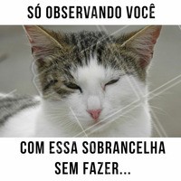 Falo nada, hein? 🤣 Já agendou o seu horário do mês? Corre pra agendar! ☎️ #Designdesobrancelha #ahazou #meme #sobrancelha