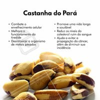 Olha quantos benefícios, inclua a castanha-do-pará na sua alimentação! #alimentaçãosaudavel #nutrição #ahazou #castanhadopara #castanha #bemestar #saude