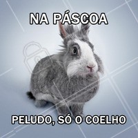 Não passe a Páscoa sem depilar! Marque já o seu horário.
#pascoa #ahazou #depilação #estetica #autoestima