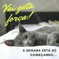 Força na peruca! Boa semana pra vocês 😻 #segundafeira #ahazou #motivacional