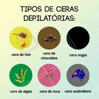 Cera de mel: feita apenas com produtos naturais.
Cera de chocolate: feita com uma mistura de chocolate, cravo, e outros ingredientes, possui propriedades anti-inflamatórias que podem aliviar a dor após a depilação.
Cera negra: indicada para aquelas que tem pelos mais resistentes a depilação e mais grossos.
Cera de algas: indicada para regiões sensíveis do corpo.
Cera de rosas: usa o princípio ativo da rosa mosqueta em sua fórmula, agride menos a pele.
Cera australiana: sua aplicação é feita em conjunto a vários outros produtos de limpeza, preparação da pele, óleos especiais, entre outros.
#cera #depilacaoacera #ahazou #depilacao
