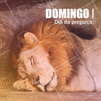 Domingou, hora de relaxar! #domingo #ahazou #semanal #domingou