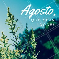 Que comece mais um mês com muita alegria e positividade! 🌻 #agosto #bemvindo #ahazou