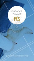 #stories #ahazou #podologia