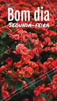 #bomdia #segunda-feira