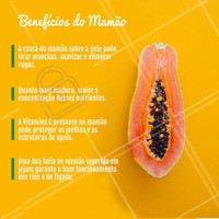 O mamão é rico em vitaminas e faz muito bem para saúde! Já comeu o seu hoje? #saude #ahazou #nutricao #dieta #emagrecer #vida
