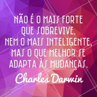 Saiba lidar com os imprevistos da vida! #motivacional #ahazou #frases #inspiracao #citacao