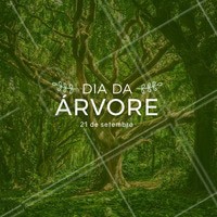 Plantar uma árvore é cuidar do amanhã! #diadaarvore #ahazou #flores #alegria #vida