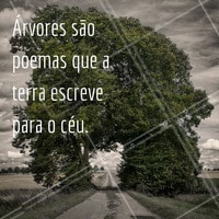 Feliz dia da árvore! #diadaarvore #ahazou #flores #alegria #vida