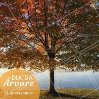Plantar uma árvore é cuidar do amanhã! #diadaarvore #ahazou #flores #alegria #vida