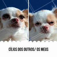 Não fique sem cílios, venha fazer a sua extensão comigo! #cilios #ahazou #engracado #divertido #mulher #extensaocilios