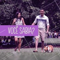Andar na grama descalço recarrega a eletricidade estática acumulada. Para relaxar e recarregar as energias, ande descalço na terra ou na grama. Seu corpo agradece! #podologia #ahazou #pés #grama #descalço