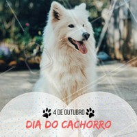 Comemore com o seu melhor amigo essa data tão especial. #diadocachorro #ahazou #comemorativo