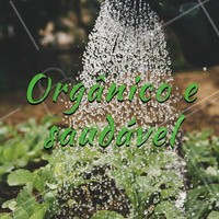 Só trabalhamos com produtos orgânicos e saudáveis. #alimentacao #ahazou #salada #saudavel #organico