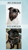 Melhor sensação! #massagem #ahazou #meme #massoterapia
