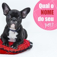 Comente aqui 👇 Queremos saber o nome do seu peludinho! #pet #ahazou #animais #cachorro #petshop #veterinario