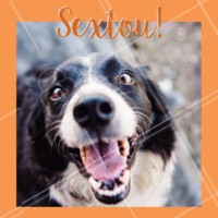 Uhuuuu sextou! Bora comemorar! #cachorro #ahazou #animais #pets #sextafeira