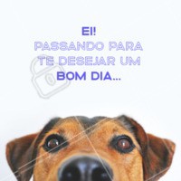 Bom dia, seguidores! 🐶 #bomdia #cachorro #ahazou #motivacional #inspiracional