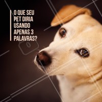 Vamos brincar? 😂 Comenta aqui o que você acha que seu pet iria dizer! #pet #animal #ahazou #cachorro #ahazoupet