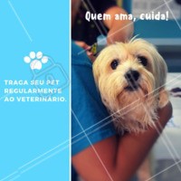 Uma visita periódica ao veterinário pode poupar seu pet e você de levar alguns sustos! Fazer uma avaliação geral da saúde do seu melhor amigo vai deixá-lo mais feliz e livre de doenças. 🐶 #cachorro #gato #ahazou #pet #veterinario #ahazoupet