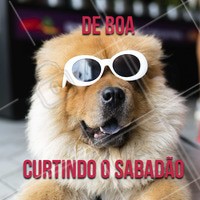 Todo mundo aí curtindo o sabadão? 😜 #sabado #ahazoupet #cachorro #pet #animais