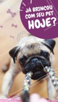 Brincar com seu pet todos os dias é super importante! #pet #ahazoupet #animal #petshop