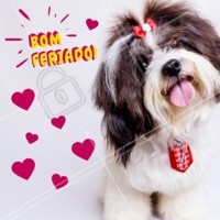 Bora curtir o feriadão! 😜 #feriado #ahazoupet #pet #animal #petshop #veterinario