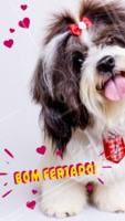 Bora curtir o feriadão! 😜 #feriado #ahazoupet #pet #animal #petshop #veterinario