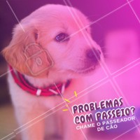 Precisa de passeador para o seu cachorro? Chama no What'sApp XXxxxxxx #dog #pet #ahazou #passeador #cachorro #dogwalker