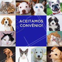 Aqui o seu bichinho terá atendimento garantido. Aceitamos convênio