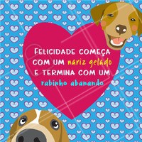Amo! #cachorro #ahazoupet #pet #animal