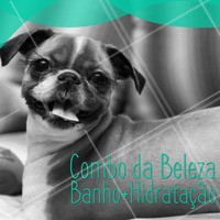 Seu pet tá precisando de um banho? Aproveite nosso combo promocional de banho + hidratação! #pet #animal #ahazoupet #petshop #veterinario