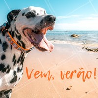 Quem aí tá ansioso pro Verão chegar logo? 🌊☀ #verao #ahazou #pet #animais #ahazoupet #petshop