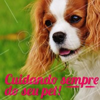 Essa é nossa proposta: cuidar sempre bem do seu bichinho, assim como você cuida! 🐶🐱 Que tal nos fazer uma visita? #pet #animal #ahazou #petshop #ahazoupet #cachorro