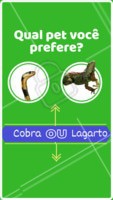 Já escolheu seu preferido? #stories #animal #pet #ahazou #cobra #lagarto