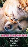 Confira nosso horário de funcionamento. Para agendar um horário entre em contato pelo telefone XXXX #petshop #ahazou #horario #funcionamento