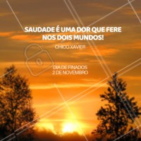 😢 #diadefinados #feriado #ahazouferiado #ahazou #motivacional