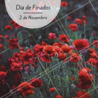 😢 #diadefinados #feriado #ahazouferiado #ahazou #motivacional