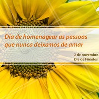 😢 #diadefinados #feriado #ahazouferiado #ahazou #motivacional