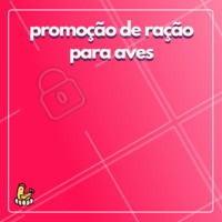 Aproveite o desconto na ração para aves! 🐔 #racao #ahazou #aves #galinha #promocao #desconto