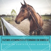 Atendemos animais de grandes portes. Ligue para nós em caso de emergência. #veterinario #ahazou #atendimento #cavalo
